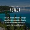 Nevada Gifts, Nevada Decor for Home - 'There's No Place Like Nevada Candle, w/Crisp Lake Tahoe Air, Driftwood & Apple I Nevada Souvenirs I Nevada State Gifts I 9oz Jar, 50Hr Burn, USA Made view 3
