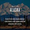 Alaska Gifts, Alaska Decor for Home - 'There's No Place Like Alaska Candle, w/Frosted Trees & Mountain Air I Alaska Souvenirs I Alaska State Gifts I 9oz Jar, 50Hr Burn, USA Made view 3