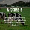 Wisconsin Gifts, Wisconsin Decor for Home - 'There's No Place Like Wisconsin Candle, w/Vanilla & Buttery Icing I Wisconsin Souvenirs I Wisconsin State Gifts I 9oz Jar, 50Hr Burn, USA Made view 3