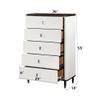 Acme Furniture Carena Chest view 3