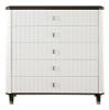 Acme Furniture Carena Chest view 4