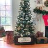 Customize Collapsible Rustic farmhouse personalized Christmas tree box, christmas, tree collar, Christmas tree, collapsible, collapsible, folding Christmas, Christmas tree box, Christmas collar view 2