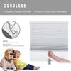 Changshade Cellular Shades Door Window Blinds Cordless Blackout, Honeycomb Blind Accordion Shade Room Darkening Indoor Pleated 1.5" Cell Easy to Install, Shade Size 55.5" Width64" Height, White view 2
