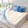 SINWEEK Dual Layer 4 Inch Memory Foam Mattress Topper, Twin XL Size, 2 Inch Cooling Gel 5-Zone Memory Foam Plus 2 Inch Extra Thick Pillowtop Cover, Pressure Relieve Soft Mattress Pad,Light Blue view 1