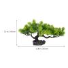 Decorative Pine Tree for Sushi Plate Realistic Fake Pine Tree Adornment for Sashimi and Japanese Food Presentation Vivid Plant Figurine for Restaurant Table Decor 7.8X7.8X5.07 Inches view 2