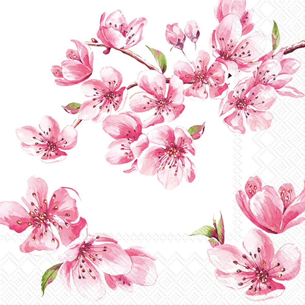 IHR Ideal Home Range Party Napkins Disposable 3-Ply Paper Lunch Napkin Pack, 6.5" x 6.5", Sakura (Rose), 20-Count