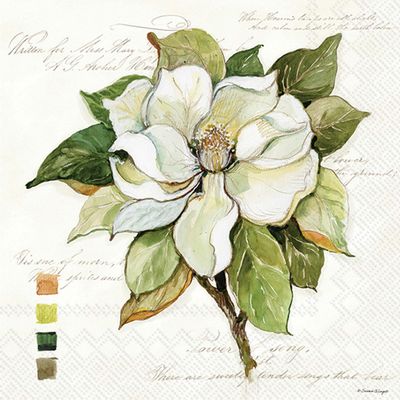 IHR Ideal Home Range Party Napkins Disposable 3-Ply Paper Lunch Napkin Pack, 6.5" x 6.5", Magnolia Bloom, 20-Count