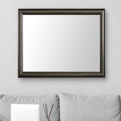 Frame My Mirror Silver Framed Mirror, 20" x 54" Mirror for Bathroom, Wood Frame, True Reflections Glass, Charcoal Finish, Oxfordshire Design, Hangs Horizontally or Vertically, Made in USA