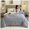FDISDIFH Thickened Super Soft Insulation Hibiscus Winter Quilt, Imitation Cashmere + Hibiscus Double Fabrics, Breathable Warmth Fluffy Plush Sided Velvet Blanket (B 180x220cm/71x86.6in(4.5kg)) view 2