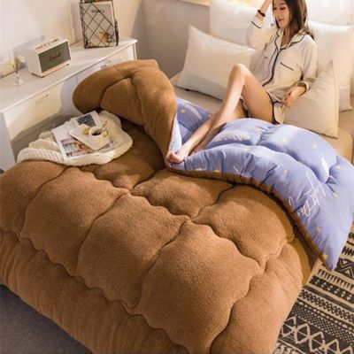 YWBXSHKD Super Warm Lamb Quilt Blanket 59x78in2kg, Warm Cashmere Quilt Single Double, Extra Fluffy Comforter, Wool Autumn Thickened Warm Gift Quilt