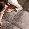 YWBXSHKD Super Warm Lamb Quilt Blanket 59x78in2kg, Warm Cashmere Quilt Single Double, Extra Fluffy Comforter, Wool Autumn Thickened Warm Gift Quilt view 2