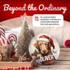 Chesapeake Bay Retriever Personalized Dog Ornament - Pet Ornament for Christmas Tree - 3" Round Ceramic - Printed in USA - Choose from 200 Breeds - Dog Mom - Dog Dad - Xmas Decoration DOG060 view 3