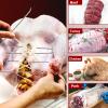 Ofargo Meat Trussing Needles, Roasting Trussing Needles for Lacing Roast Turkey, Chicken, Pork Skin, Whole Hog, Lamb, and Rotisserie Pig; 3pcs Curved Needles and 3pcs Straight Needles; 6pcs in All view 4