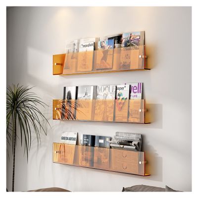 Magazine Rack Brochure Holder 3-Pack Acrylic Magazine Rack Brochure Holder, Wall Hanging Bookshelf Brochure Display Stand, for Storage Flyer Literature Menu Advertise ( Color : Orange , Size : Length