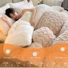XHCTNN Super Warm Lamb Quilt Winter Blanket, Thickened Super Soft Insulation Hibiscus Winter Quilts - Double Sided Thicken Comforter Core(D,180 * 220cm/3.5kg) view 4