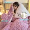 XHCTNN Super Warm Lamb Quilt Winter Blanket, Thickened Super Soft Insulation Hibiscus Winter Quilts - Double Sided Thicken Comforter Core(F,200 * 230cm/4kg) view 3