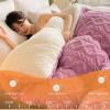 XHCTNN Super Warm Lamb Quilt Winter Blanket, Thickened Super Soft Insulation Hibiscus Winter Quilts - Double Sided Thicken Comforter Core(F,200 * 230cm/4kg) view 4