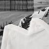 Deer Bear Kids Throw Blanket,Rustic Farmhouse Adventure Cabin Bed Blanket for Boys Girls Adults,Plaids Boho Arrows Geometric Fleece Blanket,Black Retro Fuzzy Blanket,Queen Size (90 x 90 Inches) view 3