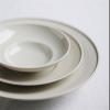 EERINESS Dinner Plates Set Dinner Plate Ceramic Tableware Home Kitchen Restaurant Breakfast Plate Fruit Plate Salad Plate Dessert Plate Kitchen Salad Bowl (Color : A, Size : Medium) view 3