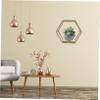 FUNOMOCYA 1pc Hexagon Wall Mounted Storage Rack Multifunctional Iron Shelf for Organizing Plants Sundries Space-Saving Design for Living Room Bedroom Study Strong Bearing Capacity Gold Mini view 2