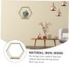 FUNOMOCYA 1pc Hexagon Wall Mounted Storage Rack Multifunctional Iron Shelf for Organizing Plants Sundries Space-Saving Design for Living Room Bedroom Study Strong Bearing Capacity Gold Mini view 4