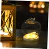 Christmas Crafts Home Decor Micro Landscape Glass Dome Glass Dome Glass Dome Cloche with Wooden Base Glass Dome Display Case Display Cloche Plastic Cover Preserved Flower view 4