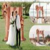 Ting's time Artificial Wedding Arch Flowers Kit(Pack of 4) 2pcs Large Artificial Flower Swags with 2pcs Draping Fabric for Wedding Party Ceremony Decoration(Burnt Orange) view 3
