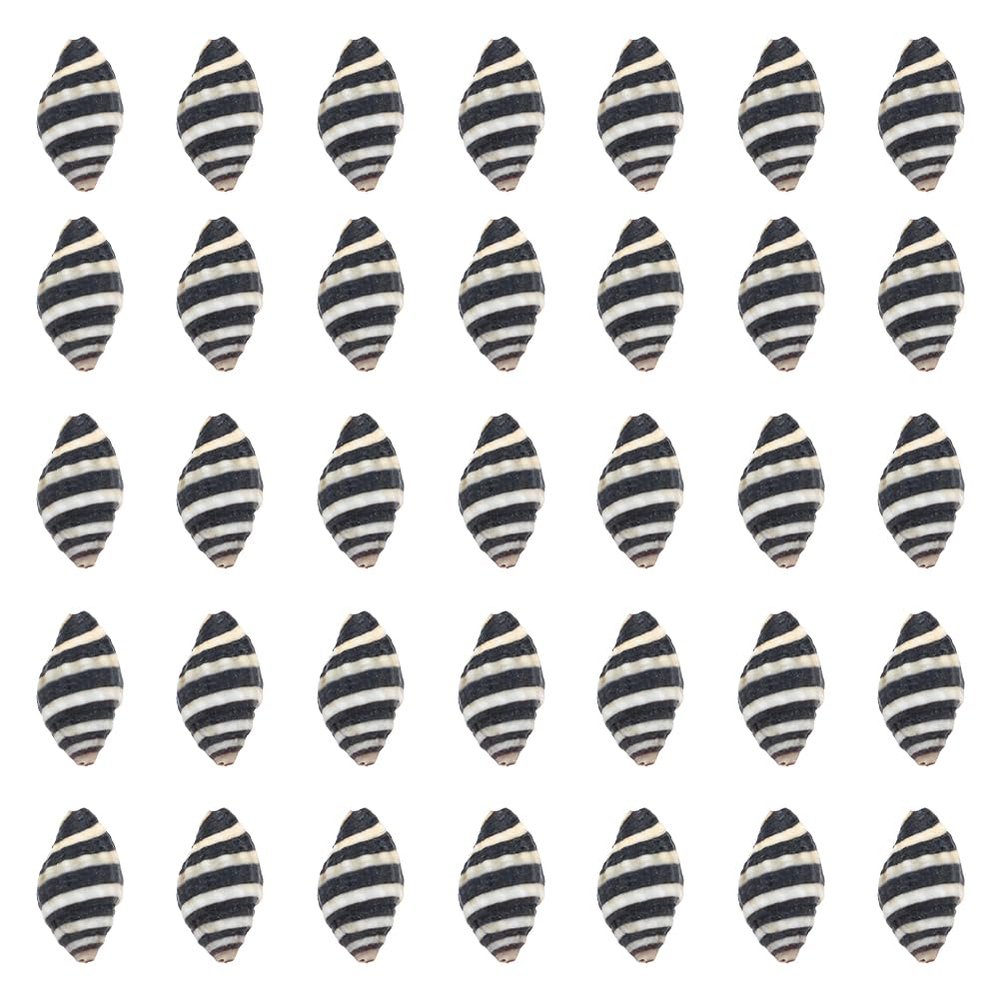 SUNNYCLUE 1 Box 50Pcs Spiral Shells Small Spiral Seashells Vase Fillers Zebra Pattern Hawaii Style Sea Ocean Beach Black White Conch Un-Drilled No Hole Shells for Candle Filler Craft Home Decoration