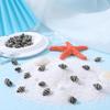 SUNNYCLUE 1 Box 50Pcs Spiral Shells Small Spiral Seashells Vase Fillers Zebra Pattern Hawaii Style Sea Ocean Beach Black White Conch Un-Drilled No Hole Shells for Candle Filler Craft Home Decoration view 4