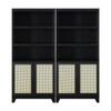 Manhattan Comfort Sheridan Bookshelf with Adjustable Shelves, Bookcase with Concealed Storage and Rattan Soft Close Doors 3 Tier Display Cabinet for Living Room Home Office or Bedroom, Set of 2, Black view 1