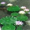 VAKUUM 10pcs 18cm Artificial Floating Foam Leaves Lily Pads Artificial Foliage Pond Decor for Pond Pool Aquarium Decoration/4 view 2