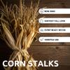 5 Ft Dried Corn Stalk Bundle with Ears Attached  24 Natural Corn Shucks for Fall, Halloween, Wedding, and Seasonal Decor  Not for Shipping to California view 2