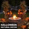 5 Ft Dried Corn Stalk Bundle with Ears Attached  24 Natural Corn Shucks for Fall, Halloween, Wedding, and Seasonal Decor  Not for Shipping to California view 3