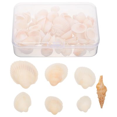 EXCEART Natural Shells for Crafts Small Seashells Set Seashell Party Decorations Nautical Decor DIY Shells Embellishment