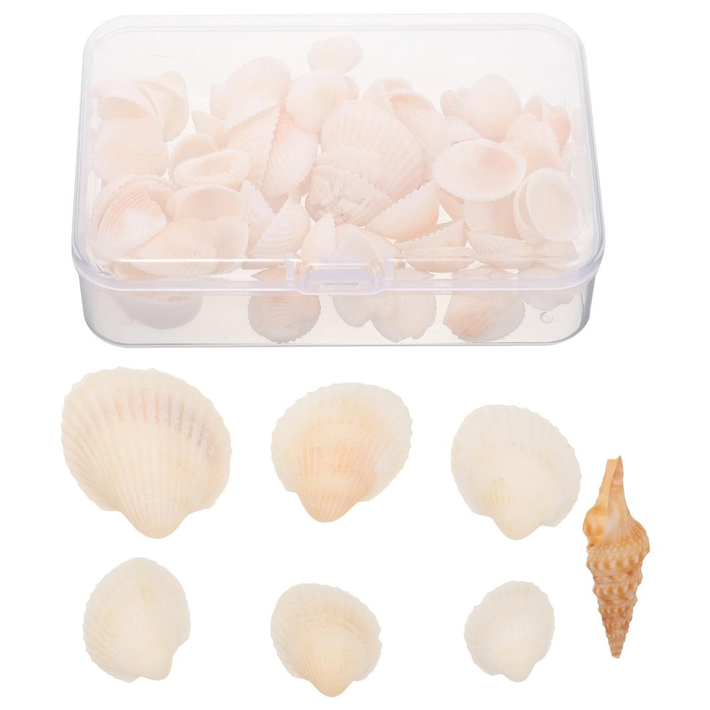 EXCEART Natural Shells for Crafts Small Seashells Set Seashell Party Decorations Nautical Decor DIY Shells Embellishment