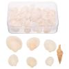EXCEART Natural Shells for Crafts Small Seashells Set Seashell Party Decorations Nautical Decor DIY Shells Embellishment view 1