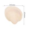 EXCEART Natural Shells for Crafts Small Seashells Set Seashell Party Decorations Nautical Decor DIY Shells Embellishment view 2