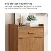 TRAGLO Shoe Storage Cabinet Freestanding Shoe Rack Cupboard with Adjustable Shelves and Single Door for Entryway Living Room 40x32x105cm B view 4