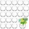 24 Pcs Glass Bubble Bowl Vase Bulk, Clear Round Glass Centerpiece Bowls for Valentine's Wedding Table Decor, Fish Flower Bud Vase Terrarium for Event Party DIY (3.5" h X 4.7" w) view 1