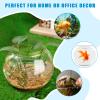 24 Pcs Glass Bubble Bowl Vase Bulk, Clear Round Glass Centerpiece Bowls for Valentine's Wedding Table Decor, Fish Flower Bud Vase Terrarium for Event Party DIY (3.5" h X 4.7" w) view 4