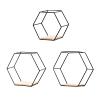 3Pcs Hexagonal Floating Shelves Wall Decor Modern Gold Hexagon Shelves for Wall Decorative Hexagon Metal Wire Storage Shelves Wall Mounted Floating Shelf Display Storage Rack for Bedroom Living(Black) view 1