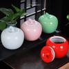 Cookie Jar Ceramic Creative Apple Storage Airtight Jar, Cookie Jar Biscuit Barrel, Food Storage Canister for Tea Candy Cookie Coffee Snacks Food Container (Color : Sky Blue 500g) view 2