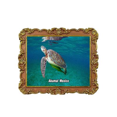Akumal Beach,Akumal, Mexico Refrigerator Magnet 3D Travel Souvenir Fridge Decoration Magnetic Sticker Craft Collection
