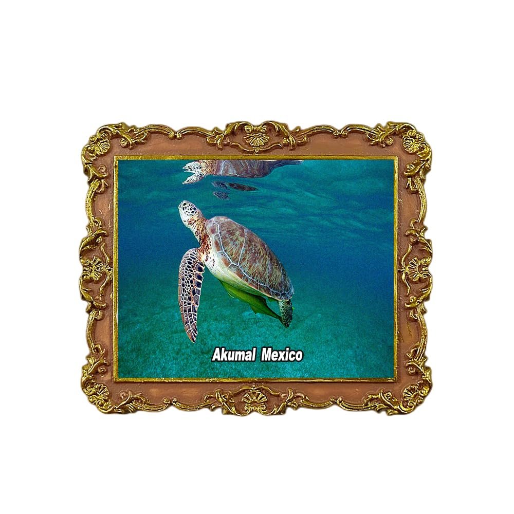 Akumal Beach,Akumal, Mexico Refrigerator Magnet 3D Travel Souvenir Fridge Decoration Magnetic Sticker Craft Collection