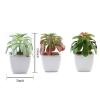 Balsa Circle 3 pcs 5-Inch Assorted Artificial Faux Echeveria Succulent Plants with Off White Pots Artificial Mini Greenery Plants Decor Indoor Outdoor DIY Arrangements Crafts Supplies view 2