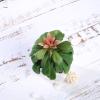 Balsa Circle 3 pcs 5-Inch Assorted Artificial Faux Echeveria Succulent Plants with Off White Pots Artificial Mini Greenery Plants Decor Indoor Outdoor DIY Arrangements Crafts Supplies view 4