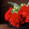 84 Red Silk Chrysanthemums - 12 Bushes - Artificial Flowers Wedding Party Centerpieces Arrangements Bouquets Supplies view 3