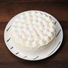 Cake Piping Tips 14pcs Reusable Piping Nozzle Pastry Bag Scraper Flower Cream Tips Converter Stainless Steel Nozzles Set view 3