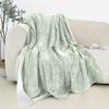 Elegant Comfort Reversible and Ultra-Plush Flannel Fleece Sherpa Throw- Lightweight Soft and Cozy- All Season Decorative Throw, Perfect for Lounging, 50 x 60 inches, Mint Green view 1