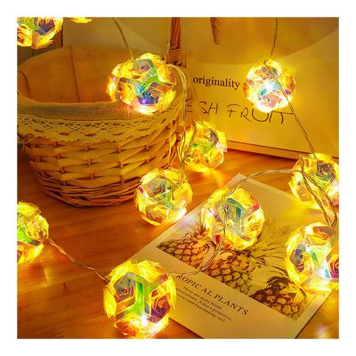 CAKERS LED Roses Globe String Lights|Creative Decor Silver Wire Fairy String Light|Ambient Light for Party Christmas Bedroom Patio,Colorful,3m(9.8ft)-20LED-USB